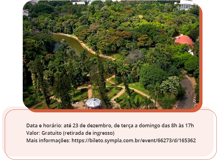 ATIVIDADE AO AR LIVRE (BELO HORIZONTE-MG) - Parque Municipal Américo Renné Giannetti